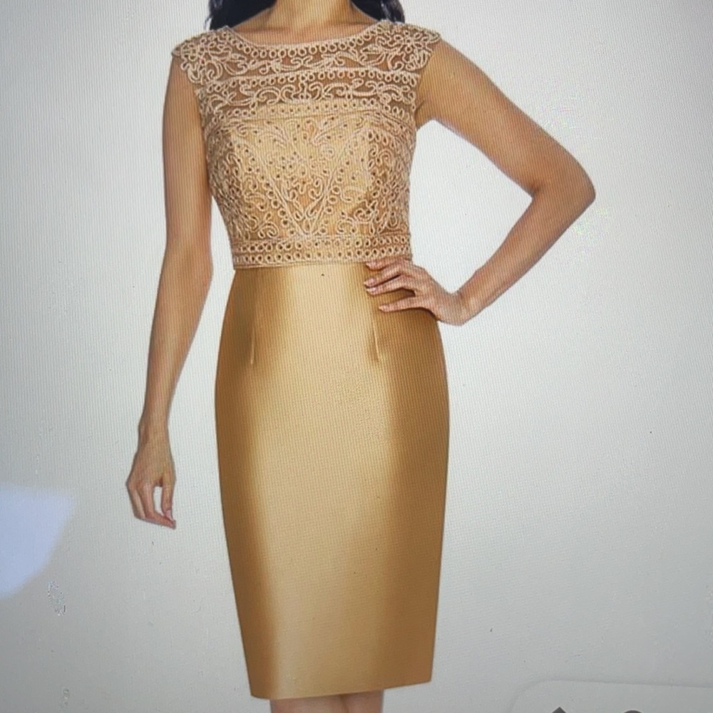 Annabelle Sleeveless Simple Fitted Dress W shawl
